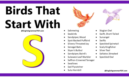 100+ Birds That Start With S – Download PDF