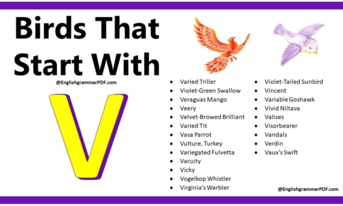 50+ Birds That Start With V – Download PDF