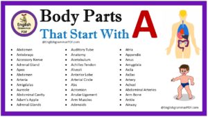 body parts that start with a