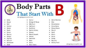 body parts that start with b