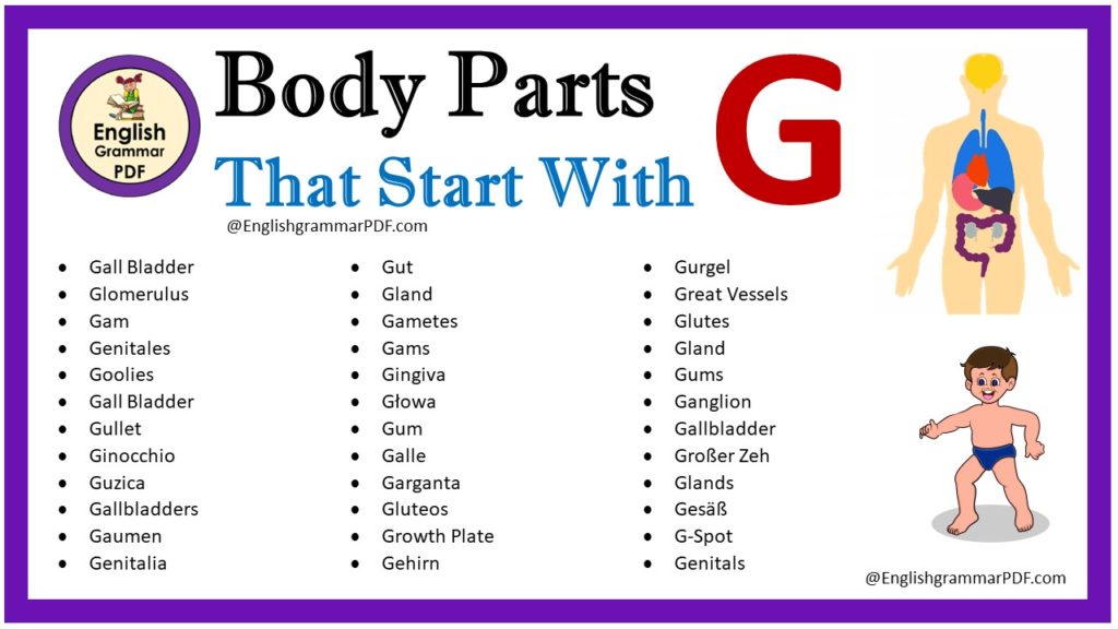 body parts that start with g