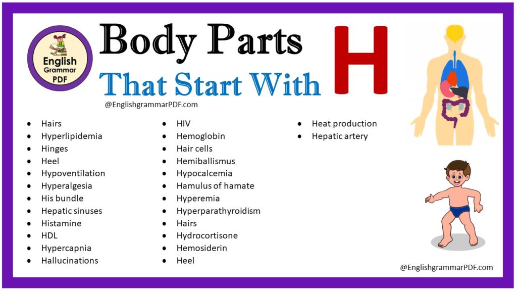 body parts that start with h