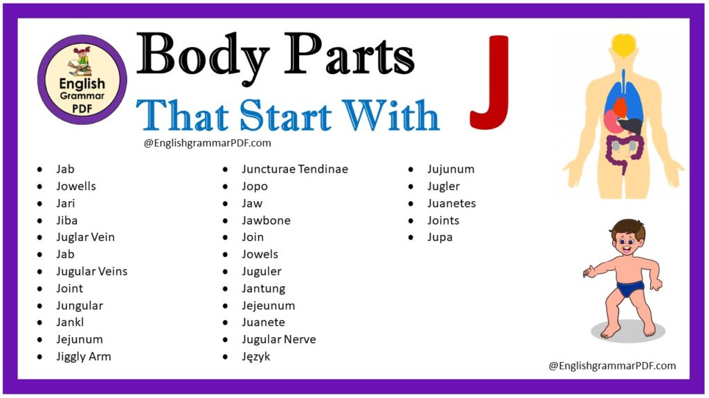 body parts that start with j