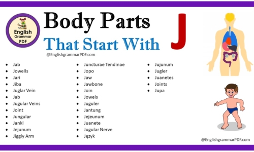 Body Parts That Start With J