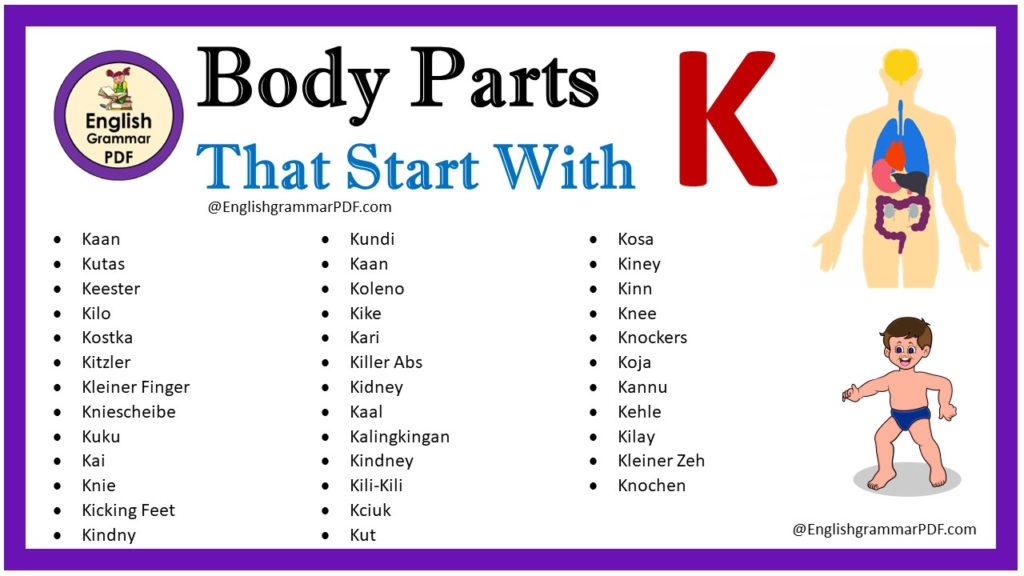 body parts that start with k
