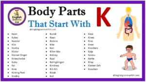 body parts that start with k