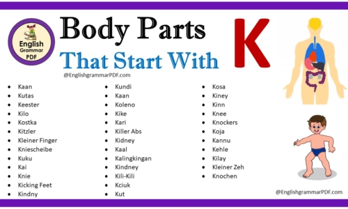 Body Parts That Start With K