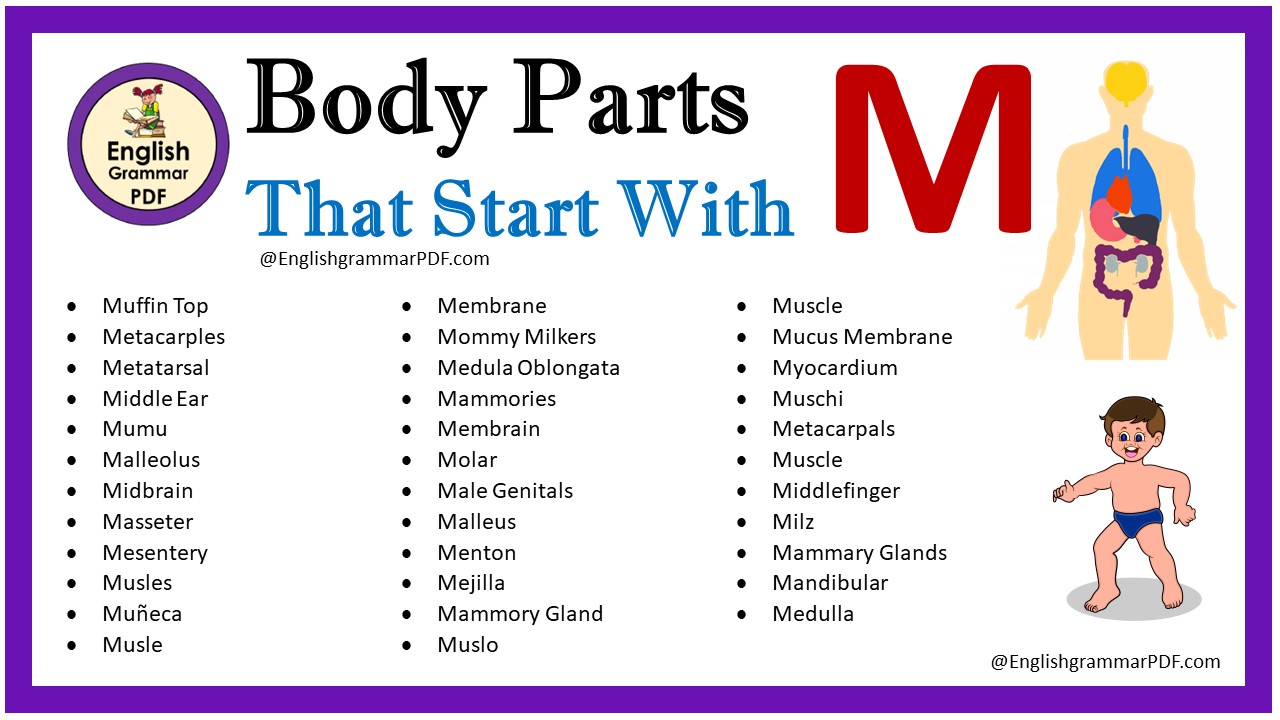 Body Parts That Start With M - English Grammar Pdf