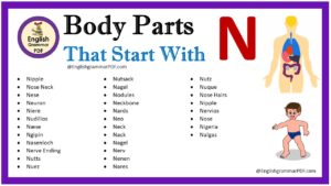 body parts that start with n