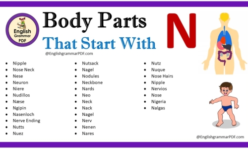 Body Parts That Start With N