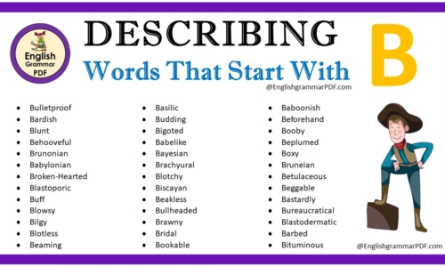 Describing Words That Start With B