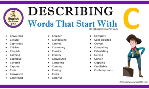 Describing Words That Start With C