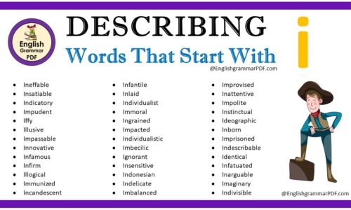 Describing Words That Start With I