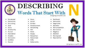 describing words that start with n