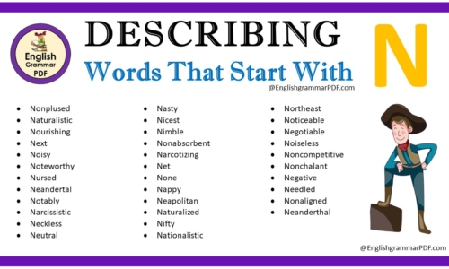 Describing Words That Start With N