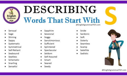 Describing Words That Start With S