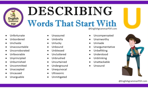 Describing Words That Start With U