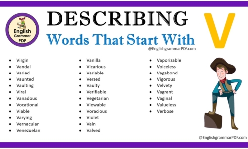 Describing Words That Start With V