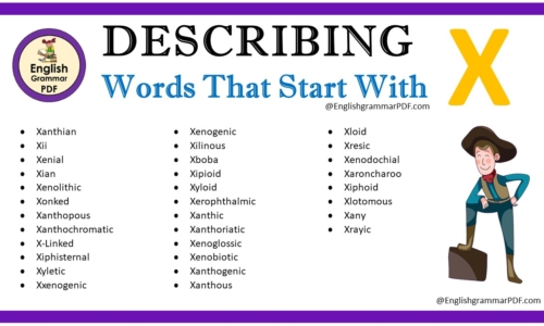 Describing Words That Start With X