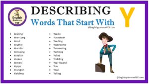 describing words that start with y