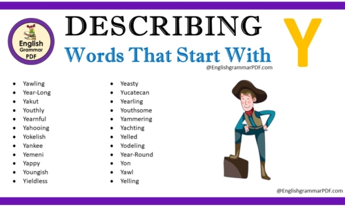 Describing Words That Start With Y