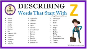 describing words that start with z