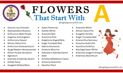 Flowers That Start With A – Download PDF Book