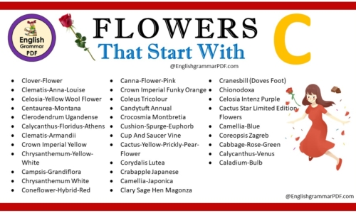 Flowers That Start With C – Download PDF Book