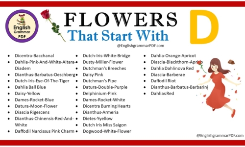 Flowers That Start With D – Download PDF Book