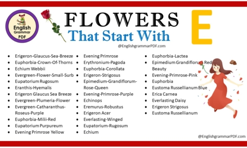 Flowers That Start With E – Download PDF Book