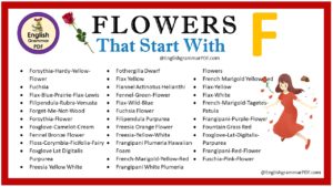 flowers that start with f