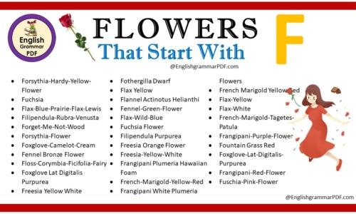 Flowers That Start With F – Download PDF Book