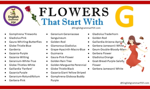 Flowers That Start With G – Download PDF Book