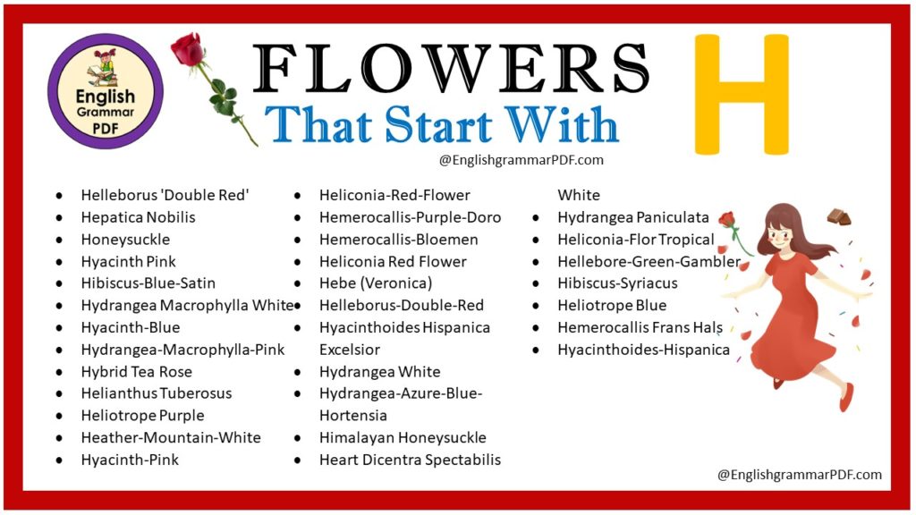 flowers that start with h