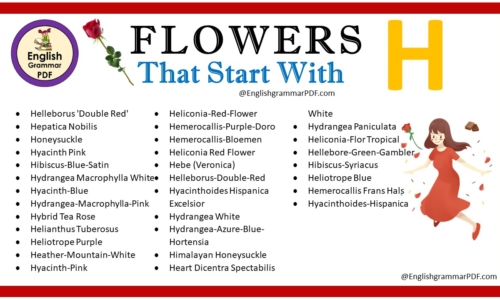 Flowers That Start With H – Download PDF Book