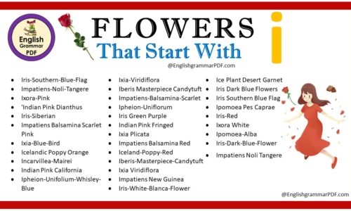 Flowers That Start With I – Download PDF Book