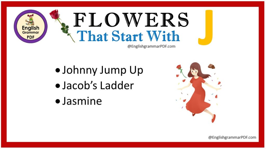 flowers that start with j