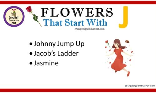 Flowers That Start With J – Download PDF Book