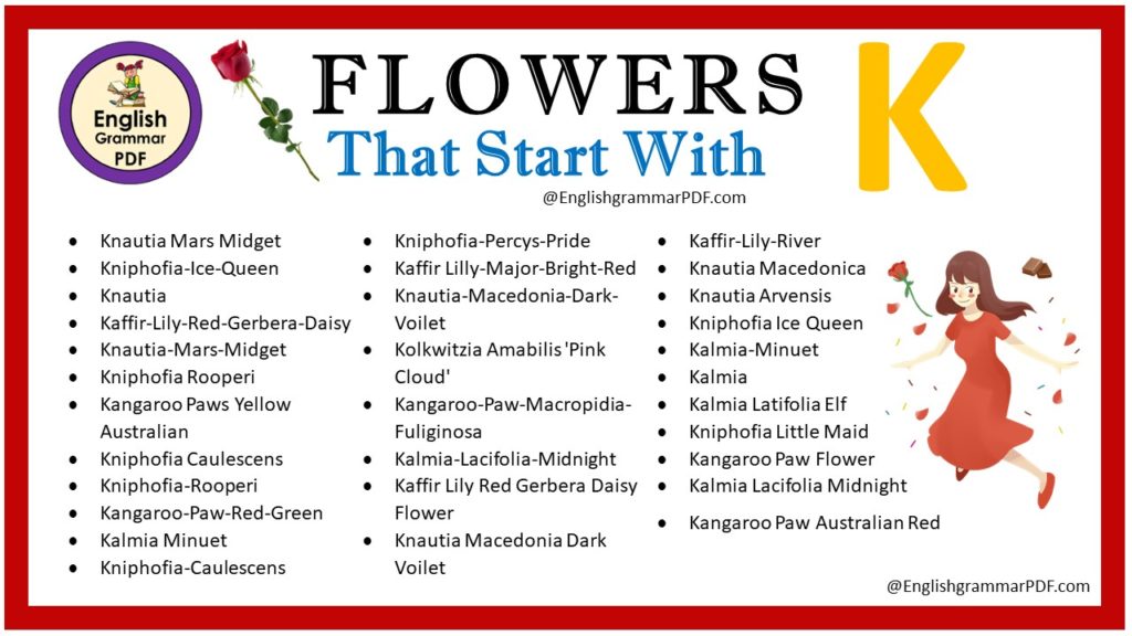 flowers that start with k