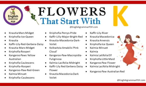 Flowers That Start With K – Download PDF Book