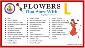 flowers that start with l