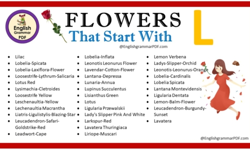 Flowers That Start With L – Download PDF Book