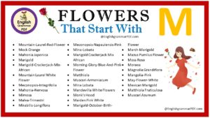 flowers that start with m