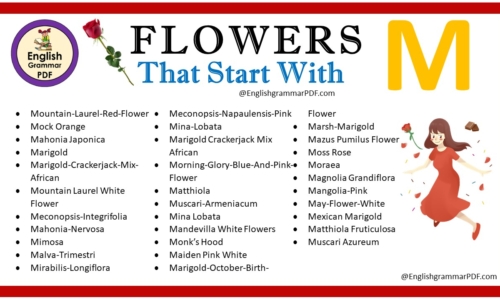 Flowers That Start With M – Download PDF Book