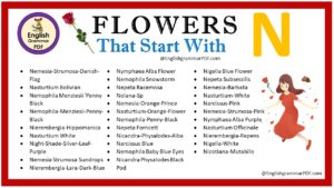 flowers that start with n