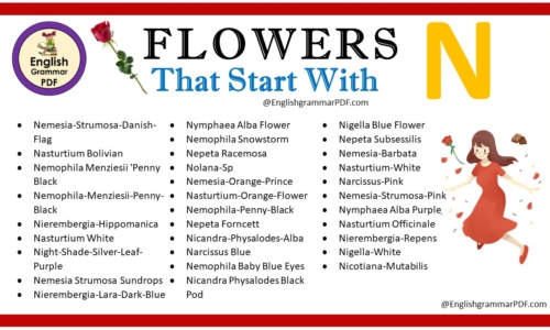 Flowers That Start With N – Download PDF Book