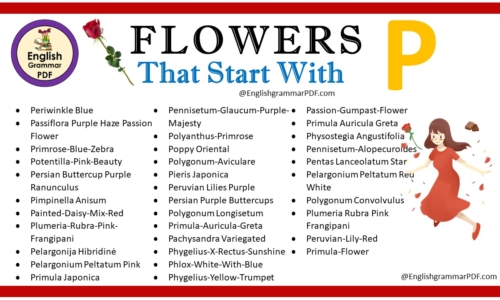 Flowers That Start With P – Download PDF Book