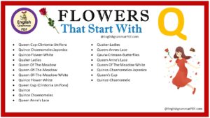 flowers that start with q