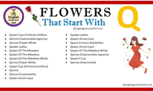 Flowers That Start With Q – Download PDF Book