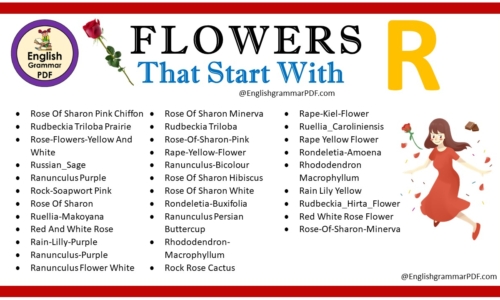 Flowers That Start With R – Download PDF Book